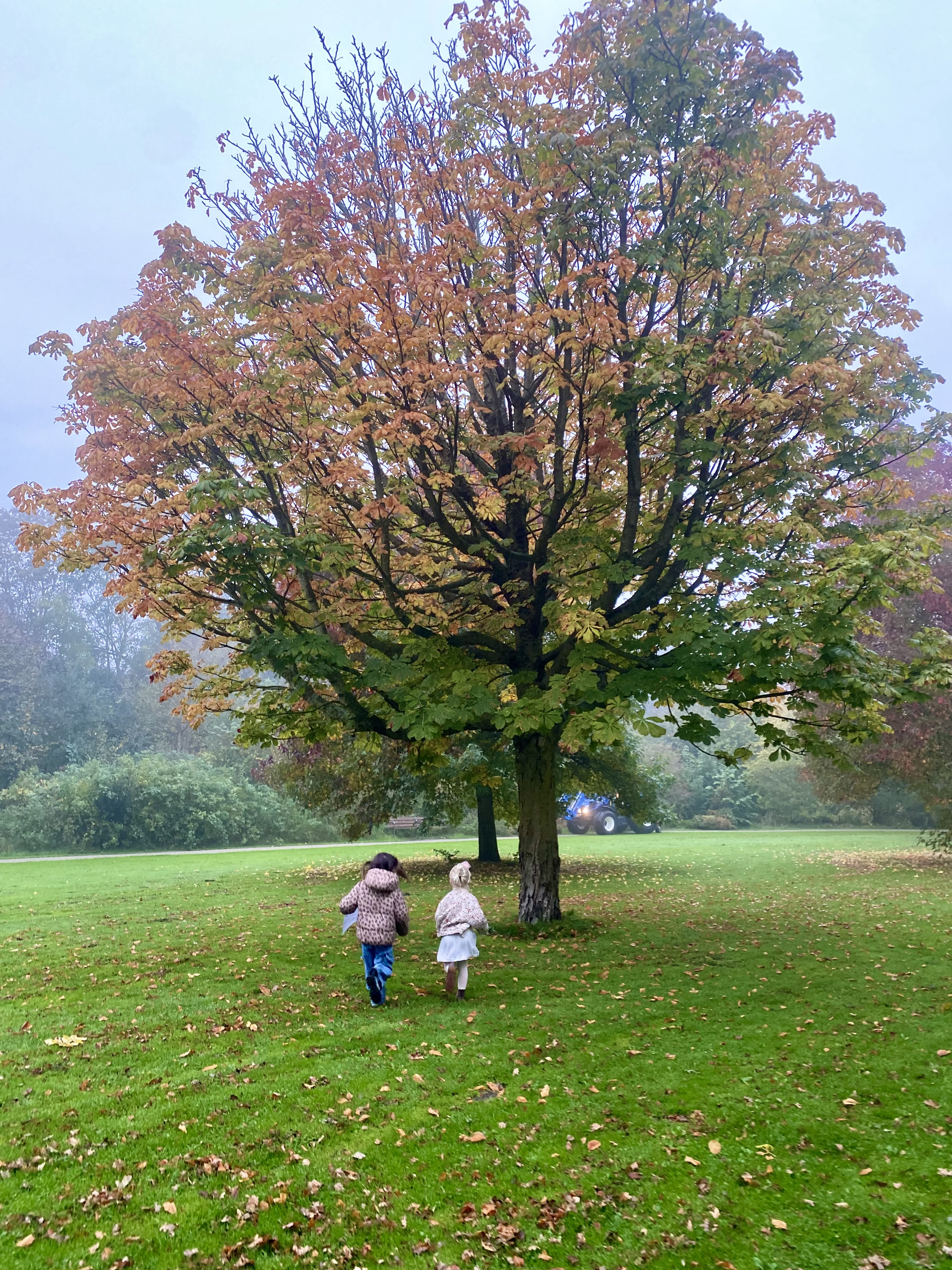 Samen herfstschatten zoeken 🍂